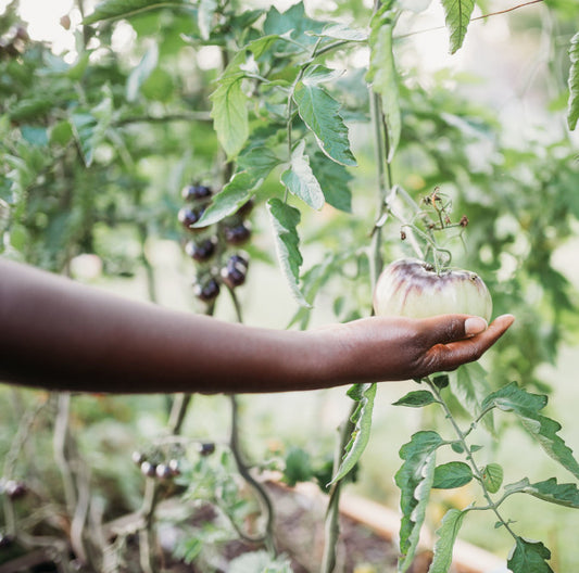 May 26: Exploring embodied, ethical and responsive doula care // virtual workshop